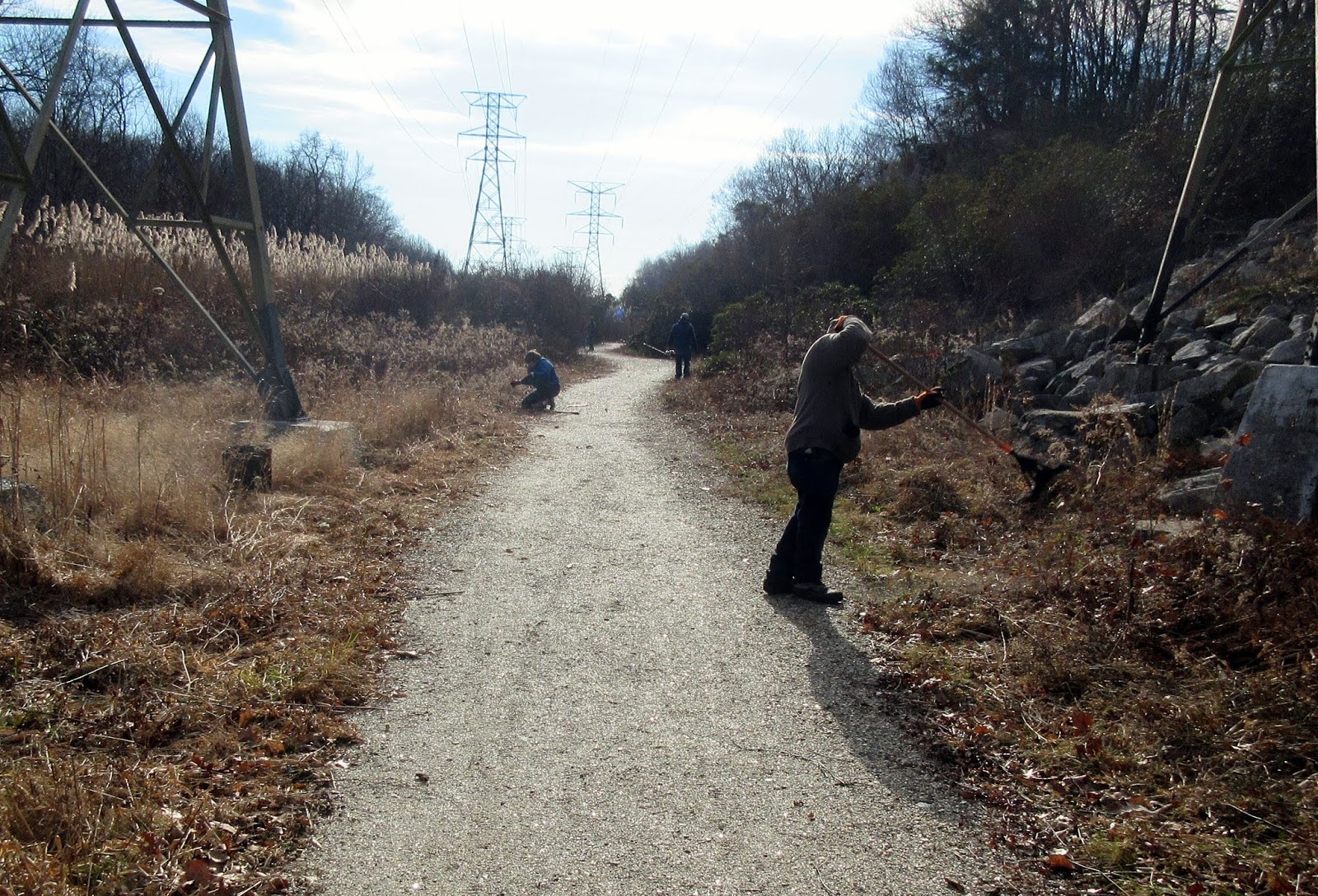 Shelton Trails Committee Brush Cutting at Great Ledge