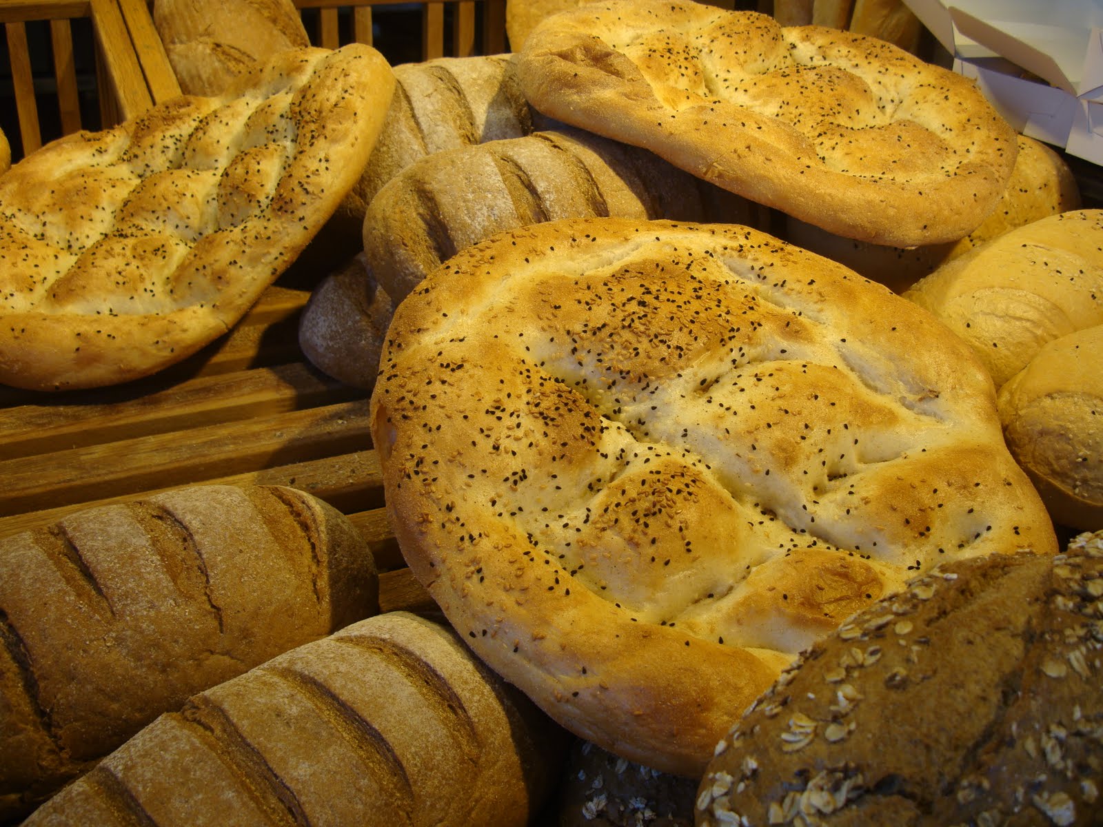 Dani�s Logbook Destination Istanbul and Beyond My neighborhood&hellip; 1