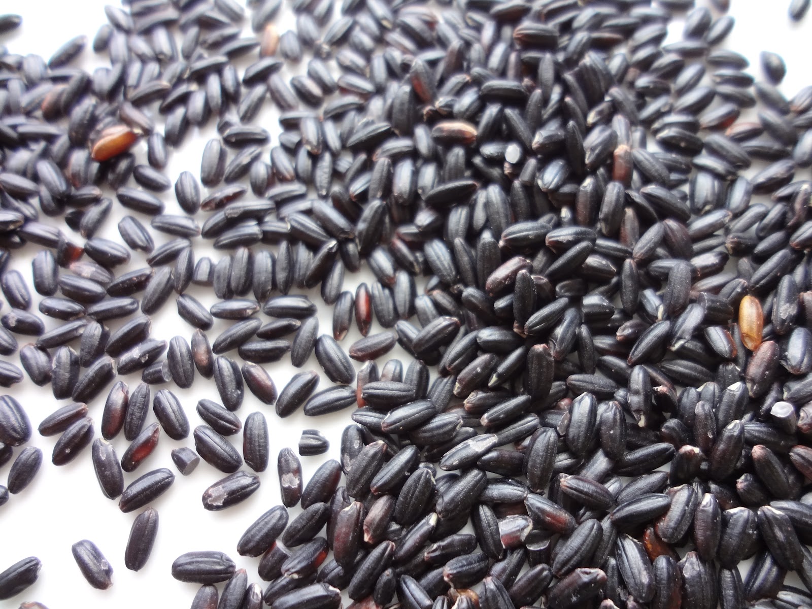 Green, Broke & Living in Kits: Rice!