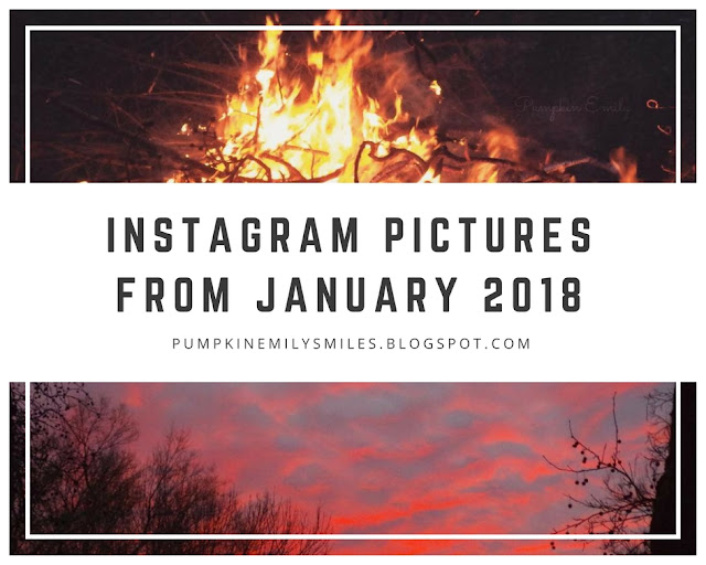 Instagram Pictures from January 2018