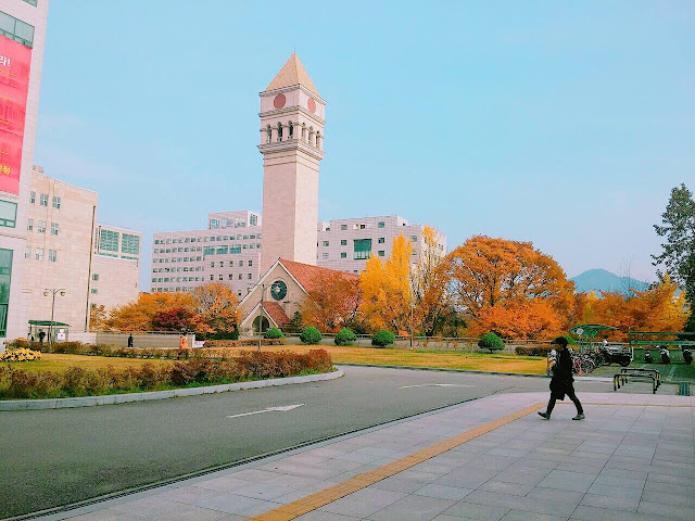 Trường Đại học Sejong Hàn Quốc - 세종대학교