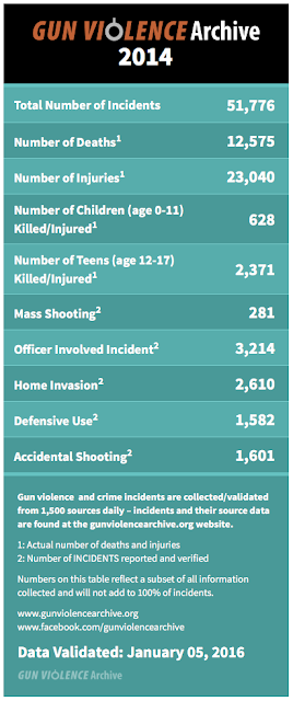 guns in america: a statistical analysis