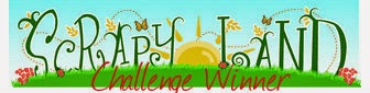 Winner Challenge #43