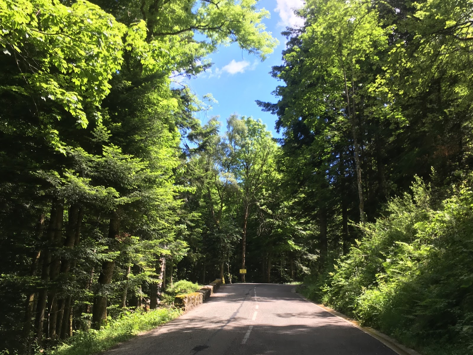 Khao Lak Regenwetter Im Paradies Madame M