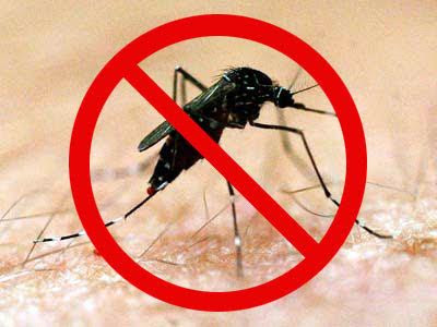 Socorro! O Rio Vermelho está entre os bairros com maior número de denuncias sobre focos Aedes aegypti Socorro! O Rio Vermelho está entre os bairros com maior número de denuncias sobre focos Aedes aegypti