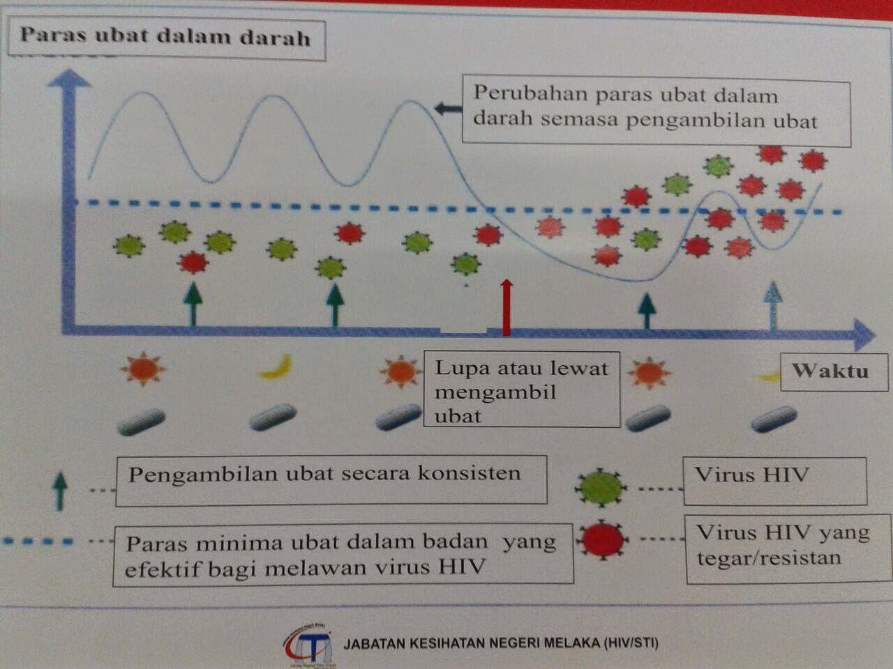 AKU HIV POSITIF: HIV: KEPENTINGAN DAN KESAN RAWATAN HAART