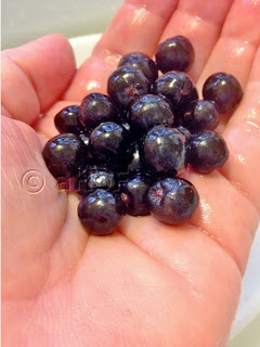 aronia berries, fruit, wild fruit