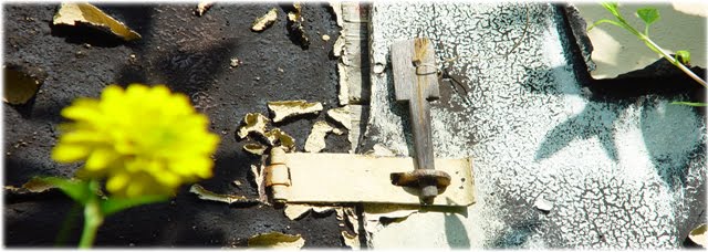 Karluso: 6 Korn Brot ...