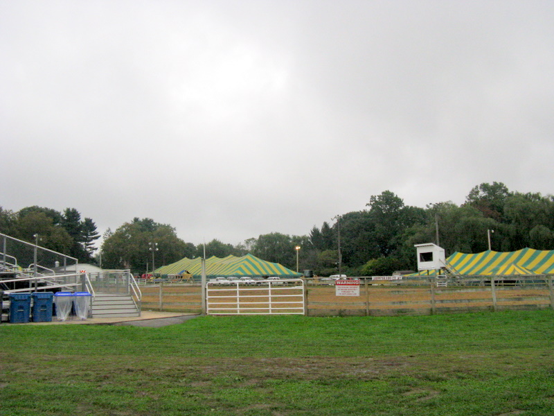 Happily married...to the cows! West Lampeter Fair...Day 2...