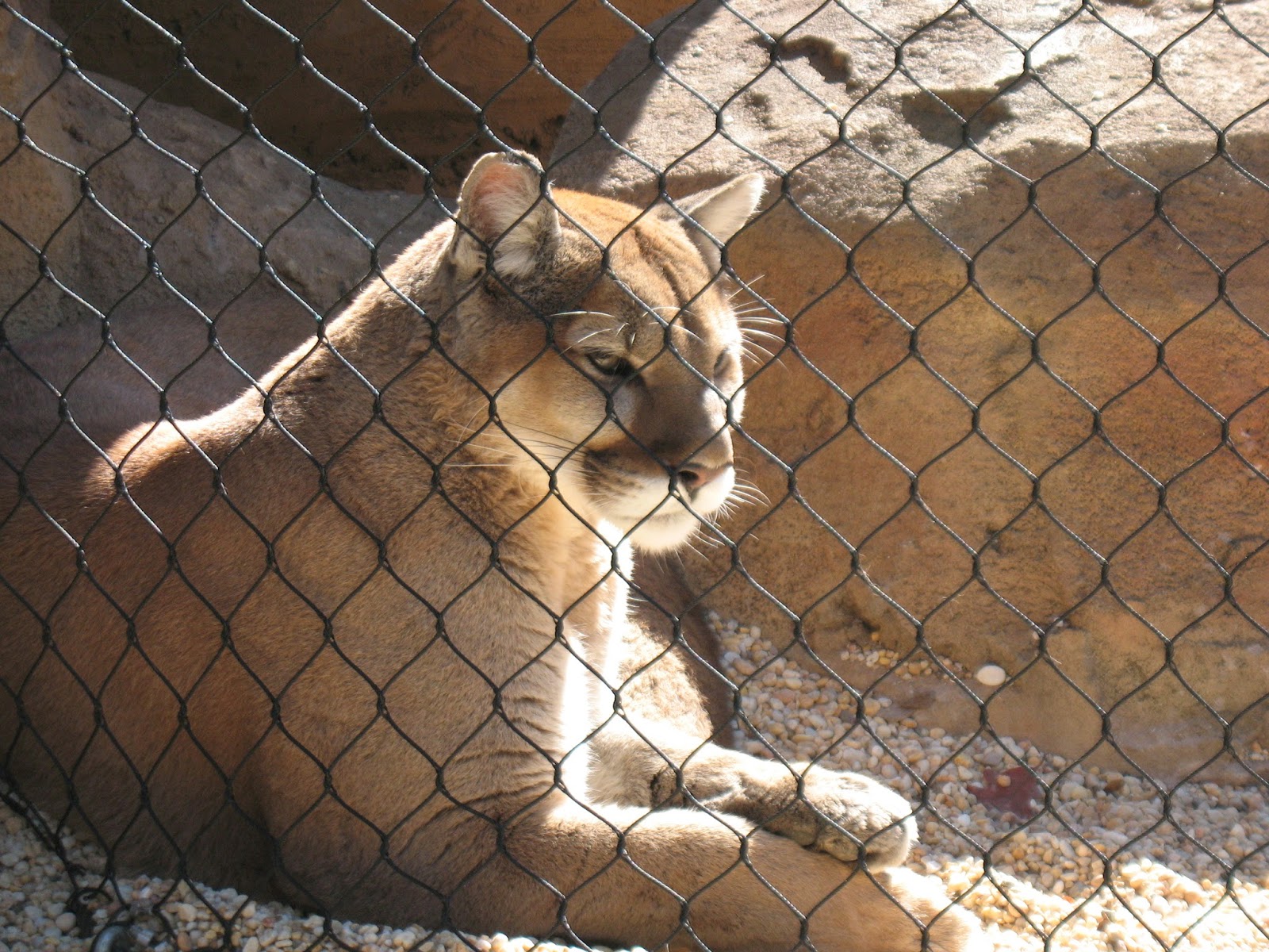 A Review of The Turtle Back Zoo Classic New Jersey Day Trips The