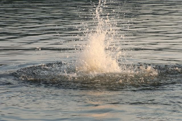 Raphaels Chilbi Blog