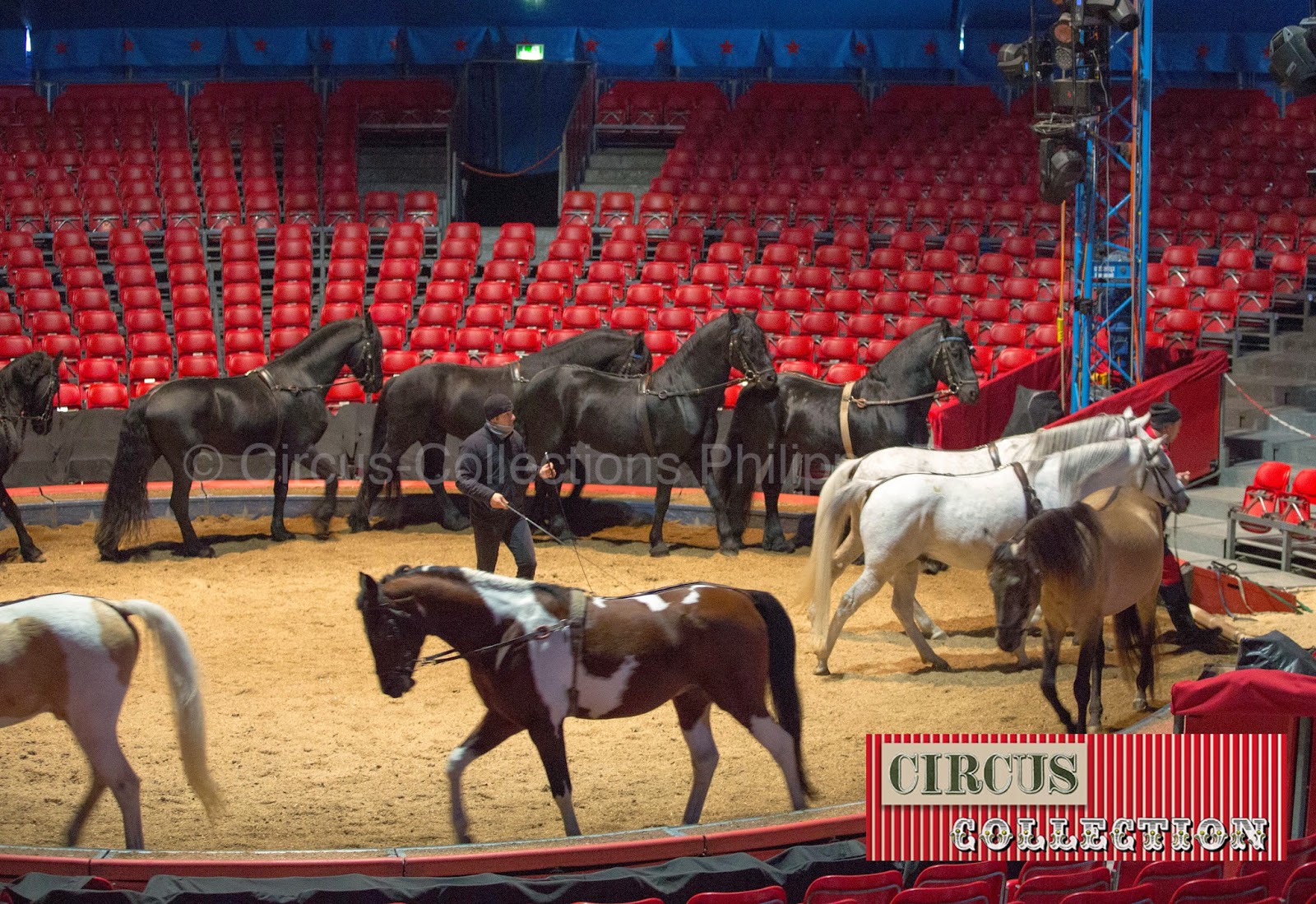 carousel de Chavaux dans la piste du Cirque Knie 