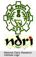 NDRI Karnal Recruitment NDRI Karnal Recruitment