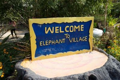 Elephant Village Damnoen Saduak Housing