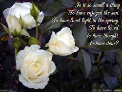 flowers quotes messages greetings