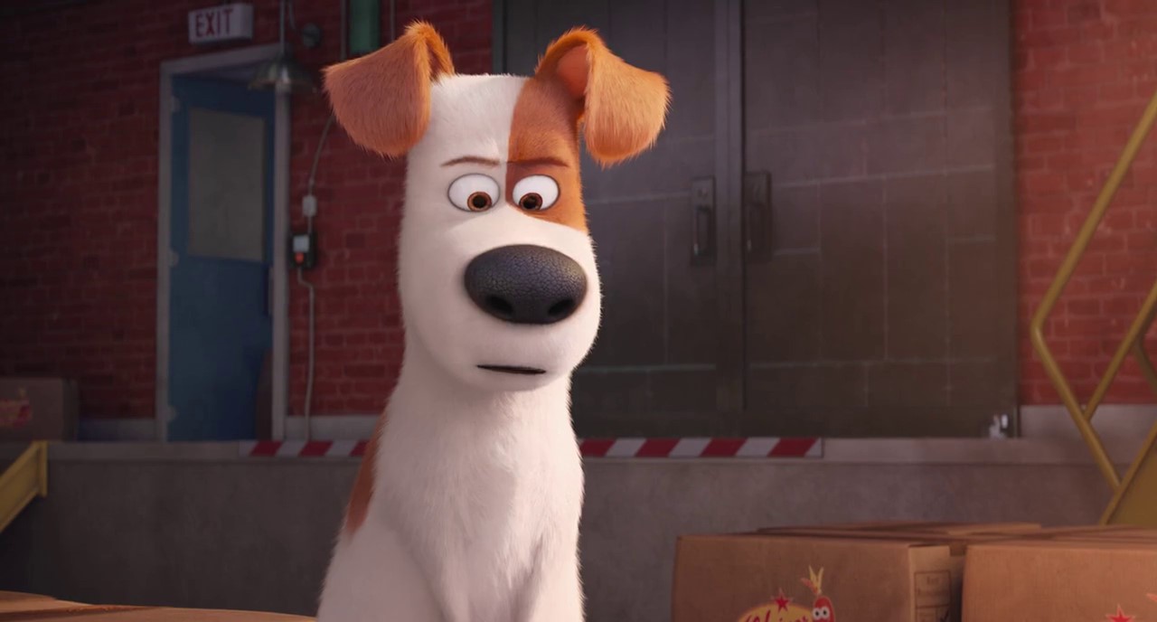 download the secret life of pets movie for free download the secret life of pets movie for free