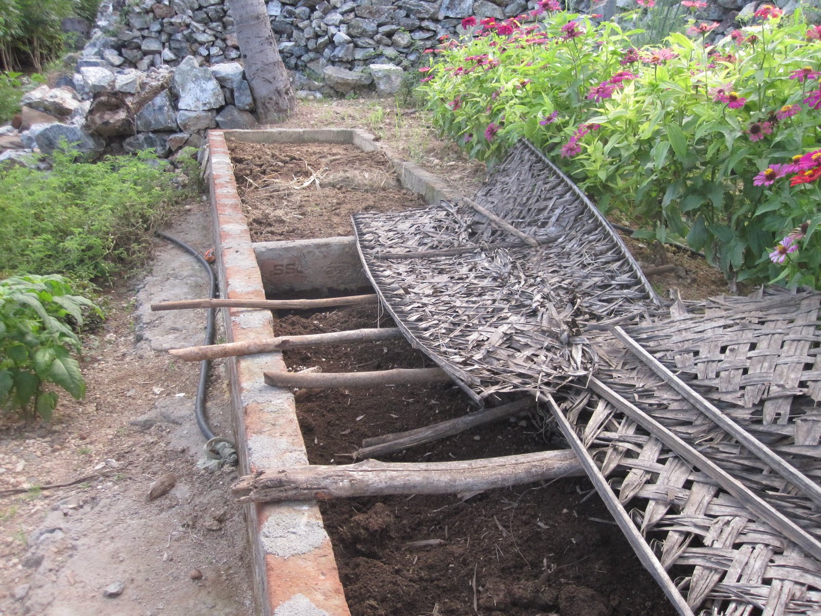 Sankarfoods Organic Farm October 2012