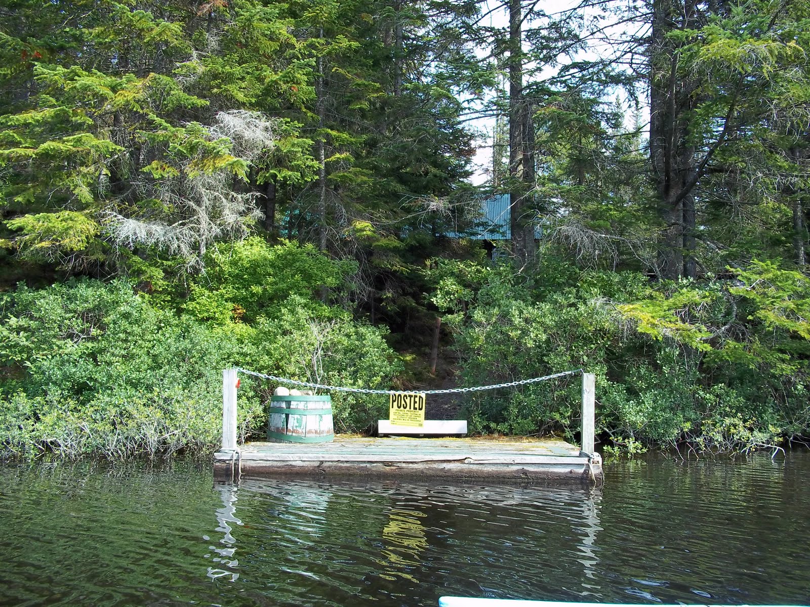 Woodsie News Big Moose Lake NY