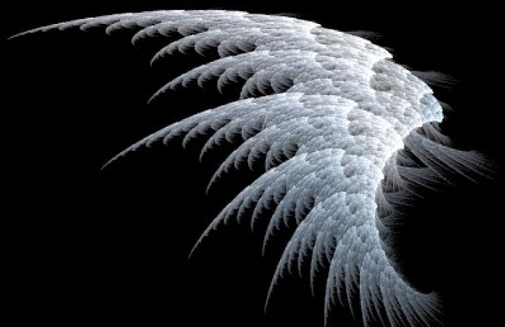 Inilah 10 Tugas Malaikat Jibril Setelah Rasulullah Wafat Inilah 10 Tugas Malaikat Jibril Setelah Rasulullah Wafat