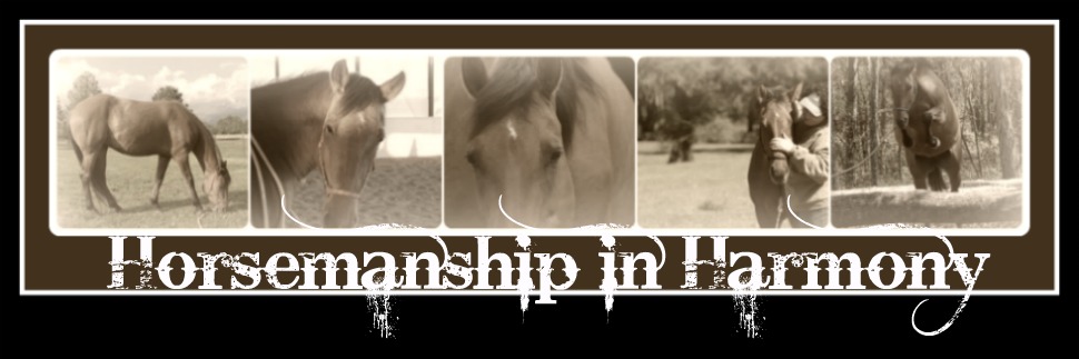 Horsemanship in Harmony