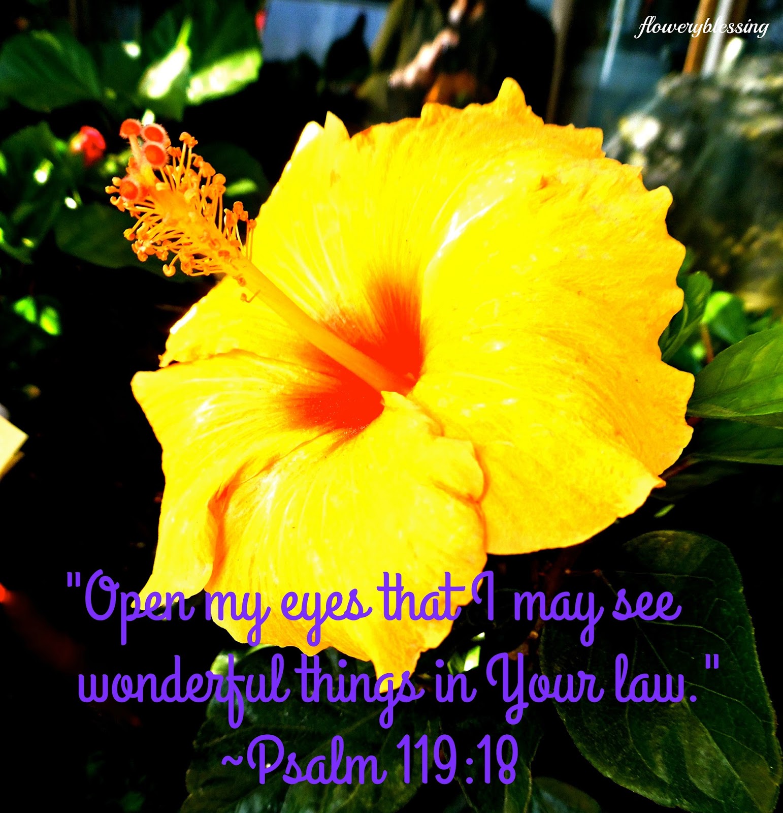 flowery-blessing-open-my-eyes-that-i-may-see-wonderful-things-in-your