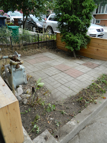 Little Portugal garden cleanup Paul Jung Gardening Services Toronto after