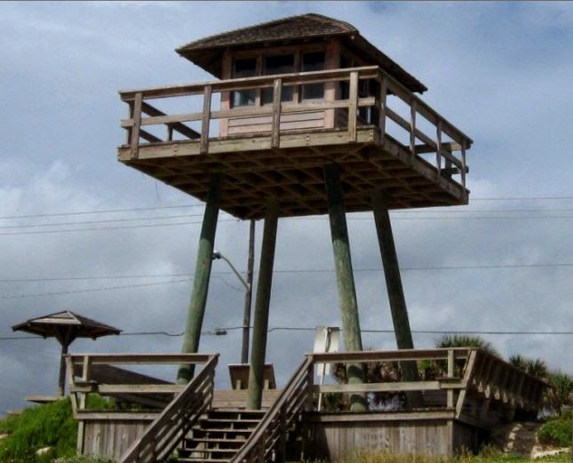 The Treasure Beaches Report Direct From Florida's Treasure Coast. 5/12