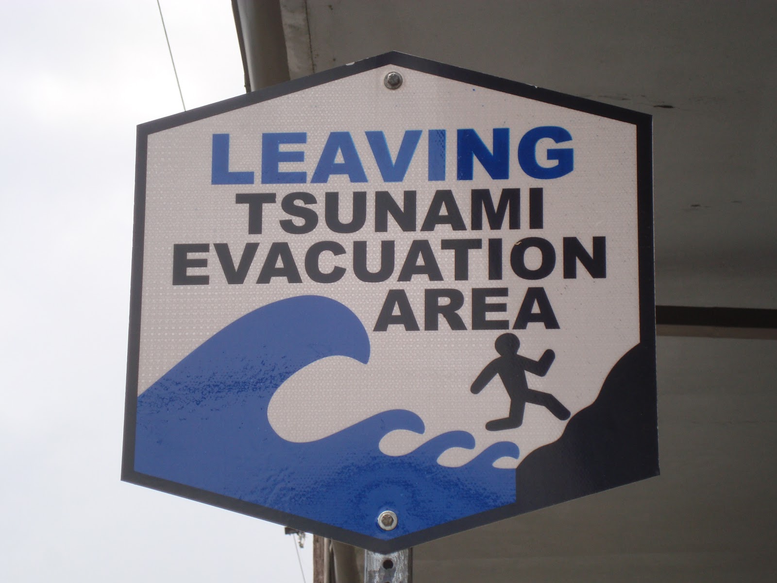 Hilo tsunami photos