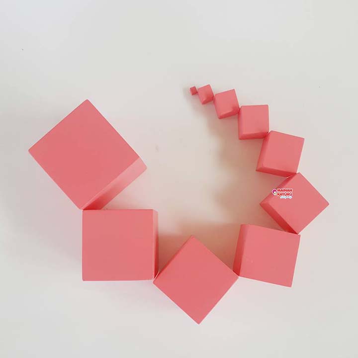 Pink Tower SNI