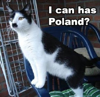 Cat Memes Photos Cat Memes Photos