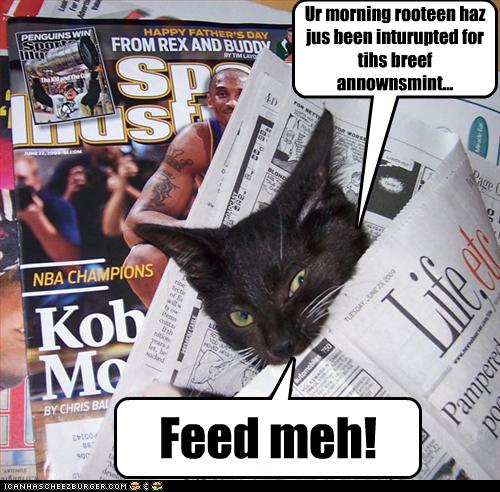 LOLCat should be fed.