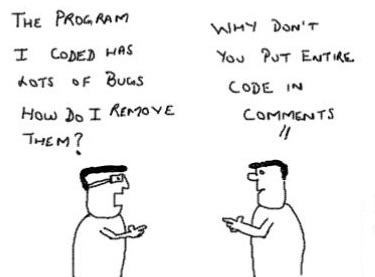 Techno Ladder: Importance of Writing Code Comments in Software Development