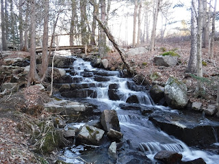Asticou Brook in Northeast Brook, Maine