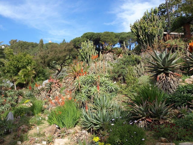 wiat-rozmaito-ci-hiszpania-ogr-d-botaniczny-mar-i-murtra
