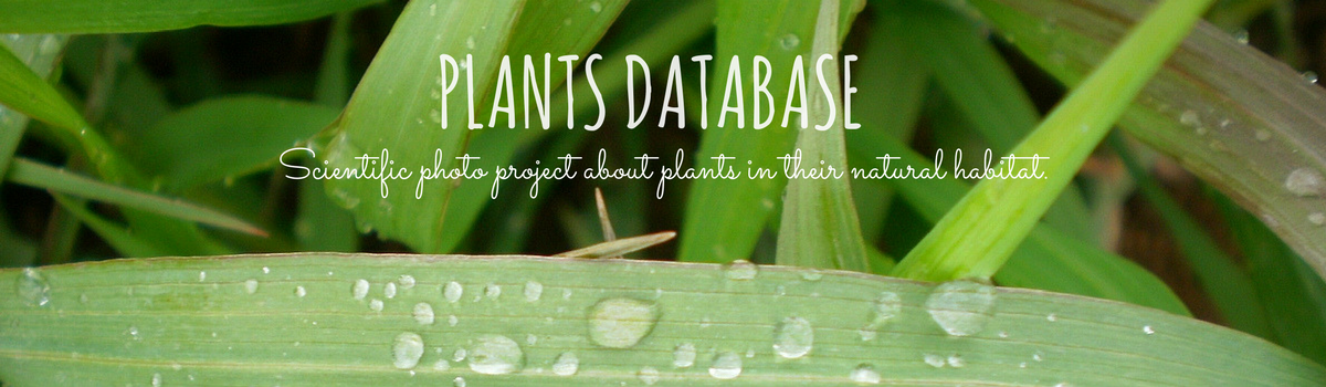 Plants Database