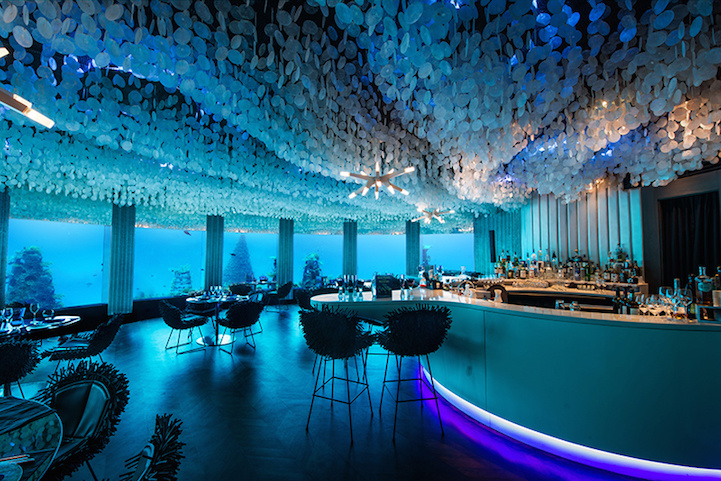 And, of course, there's all the scenery: The floor to ceiling glass windows allow guests to see over 90 coral reef species, as well as many different kinds of marine life. - This Is The Most Amazing Restaurant On Earth, Only It Isn’t ON The Earth.
