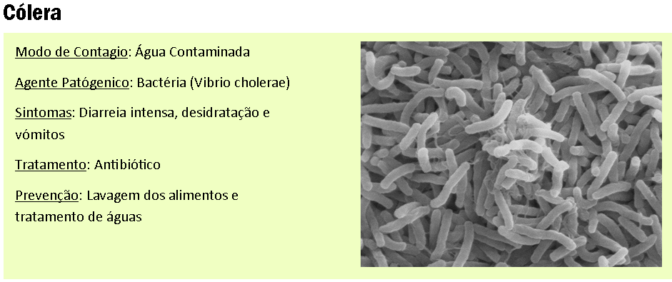 Património Genético: Cólera