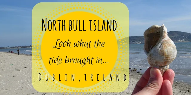 North Bull Island Dublin: A Nature Walk in the City