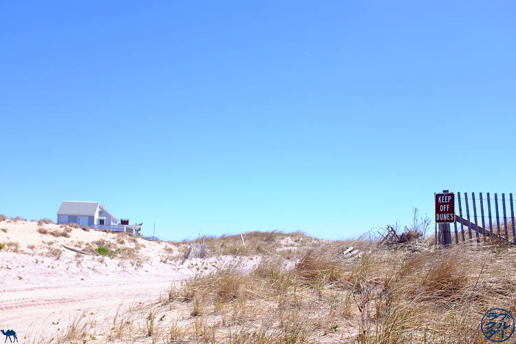 Le Chameau Bleu - Blog Voyage New York - Dunes de Fire Island - Séjour à Long Island New York Le Chameau Bleu - Blog Voyage New York - Dunes de Fire Island - Séjour à Long Island New York