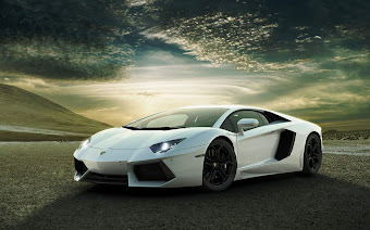 WALLPAPERS LAP