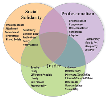 SOCIAL SOLIDARITY: Definition of Social Solidarity