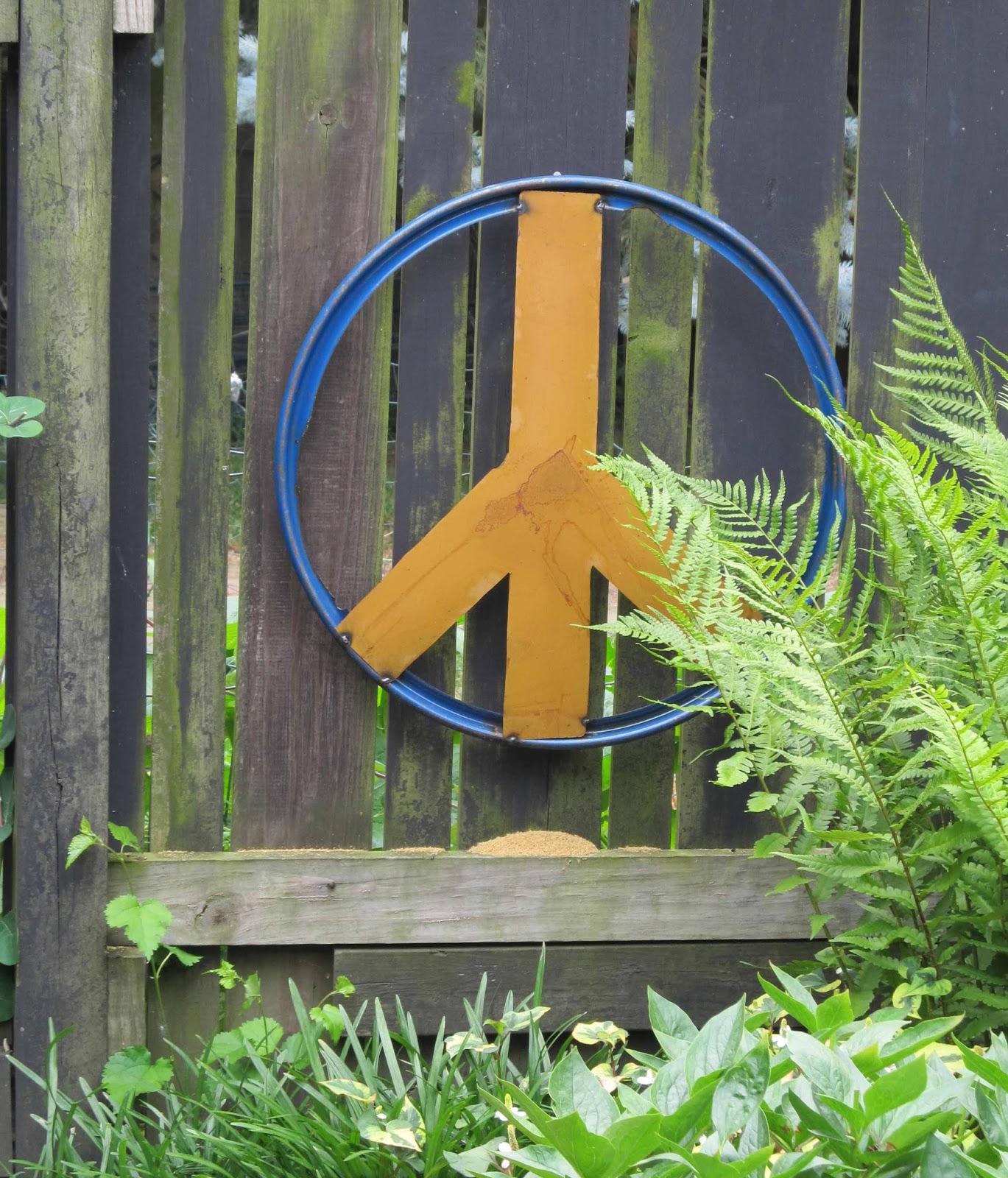 Summit Musings Friday Fences Quirky