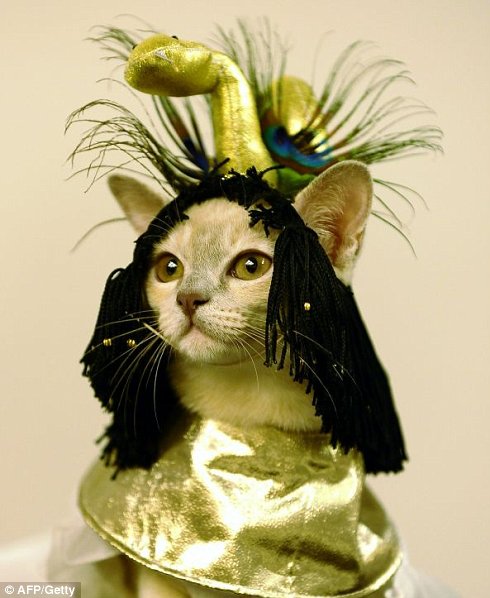 Gold Gold