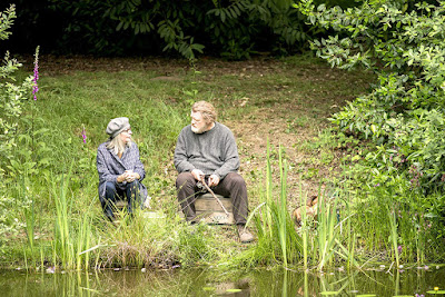 Hampstead 2017 Diane Keaton Brendan Gleeson Image 1