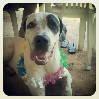 Carnaval!!!