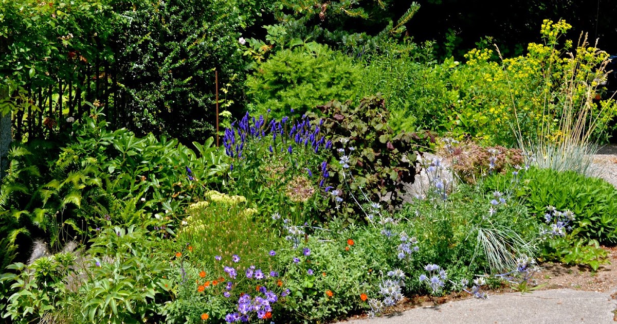 Bonney Lassie: Hardy Plant Study Weekend -- The Millie Livingston Garden