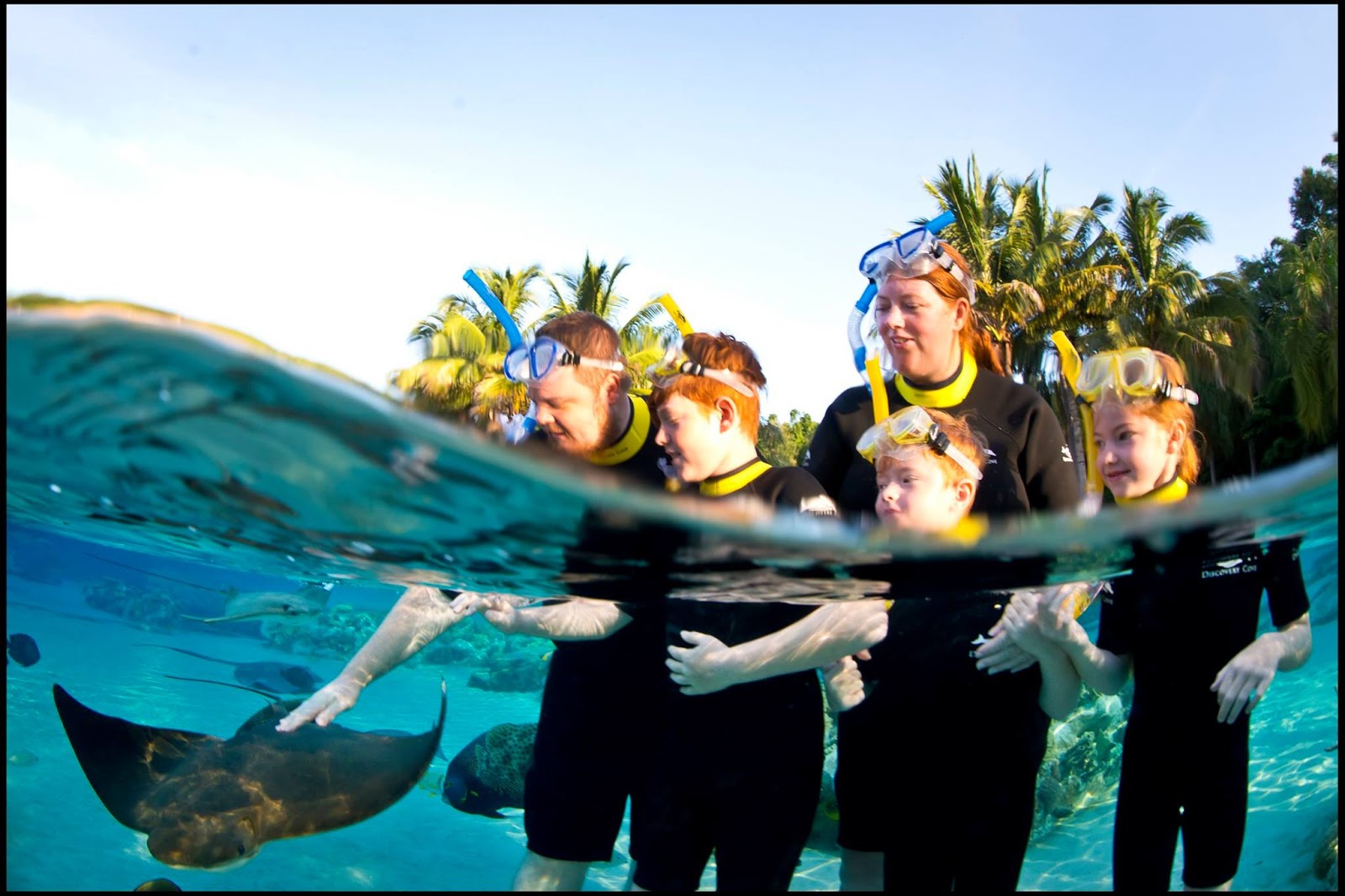 Discovery Cove, Orlando I never expected a once in a lifetime