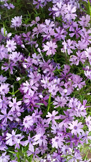 Text Atelier Der Gute Laune Blog