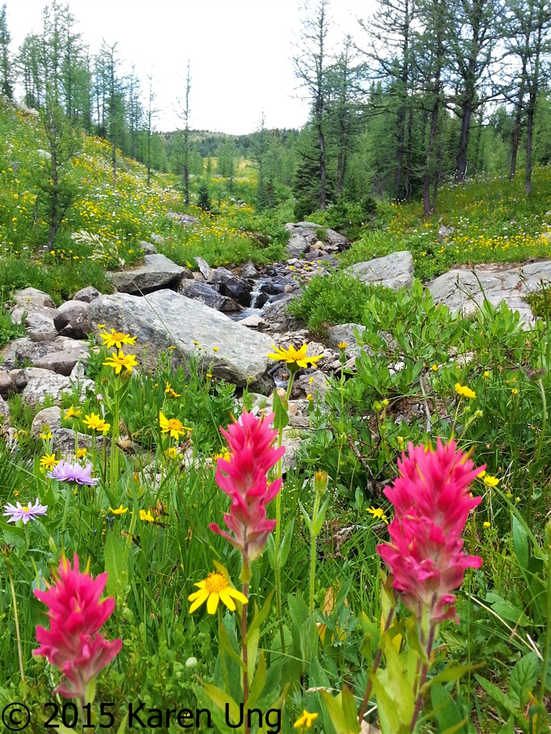 10 Banff Day Trips To Do This Summer Play Outside Guide