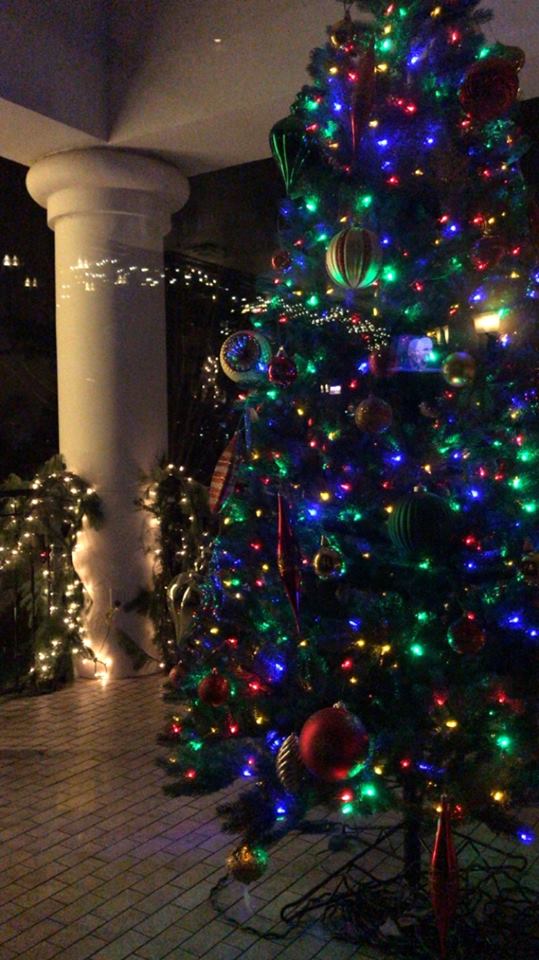 Life As The Coats Dave Barnes Christmas Concert